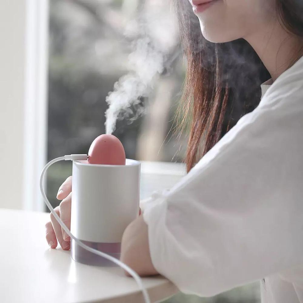 Chaoyang Desktop Humidifier