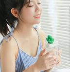 Transparent Cactus Humidifier