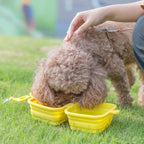 Foldable Bowl Dish For Dogs Cat Outdoor Collapsible Silicone Food Water Feeding